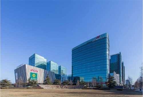 金山区个人技术服务概况