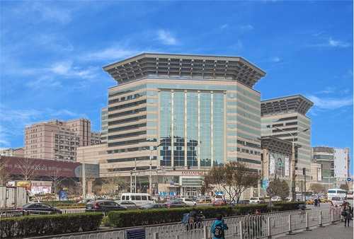 绿色系植物租赁价格明细