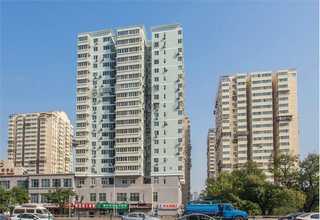 卡尔冈Calgon 活性炭PULSORB WP260