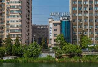 酒店植物出租价格明细